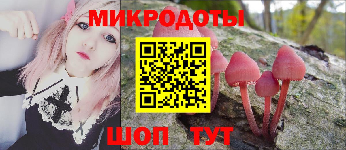 Галлюциногенные грибы Psilocybe Шелехов