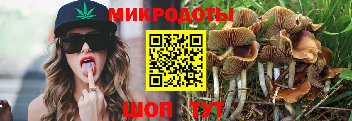 Галлюциногенные грибы Cubensis  Псилоцибиновые грибы MAGIC MUSHROOMS  Шелехов  Вход с VPN 